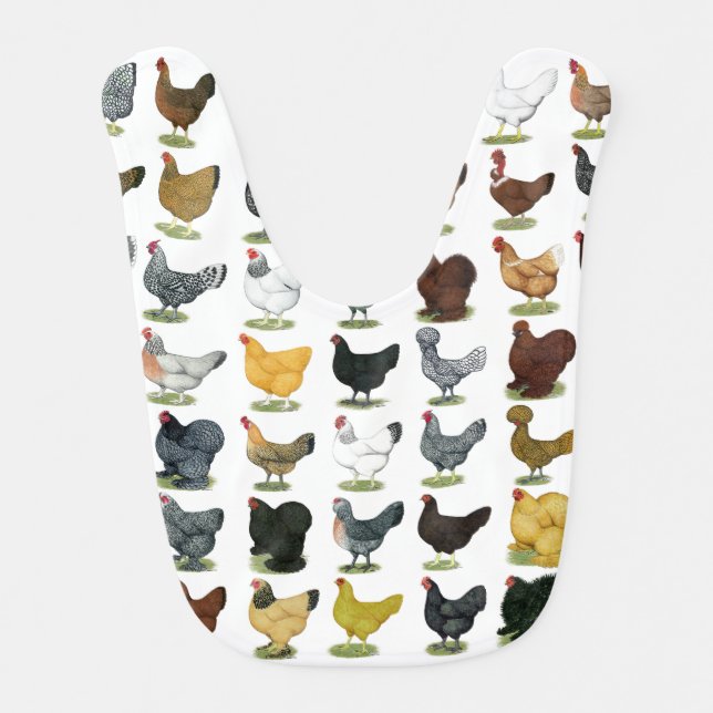 49 Chicken Hens Baby Bib (Front)