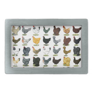 49 Chicken Hens Belt Buckle