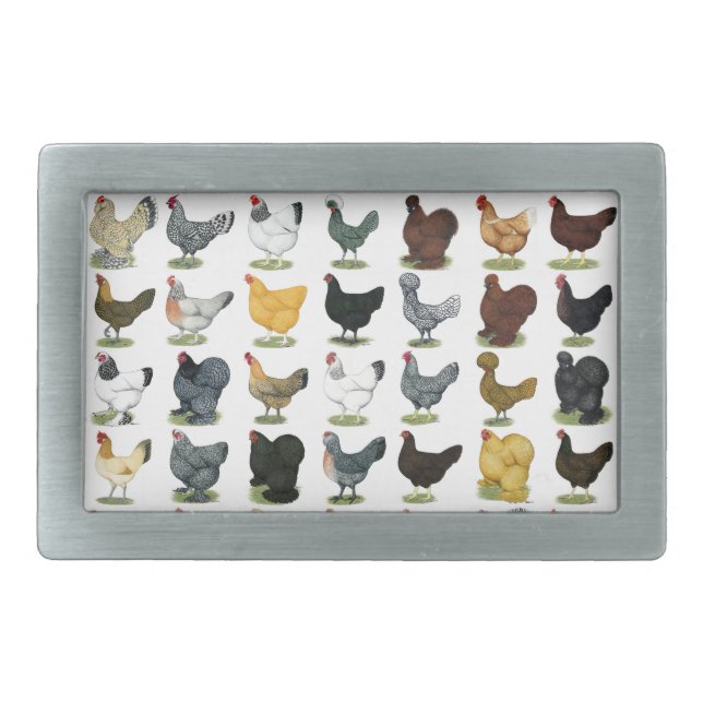 49 Chicken Hens Belt Buckle (Front)