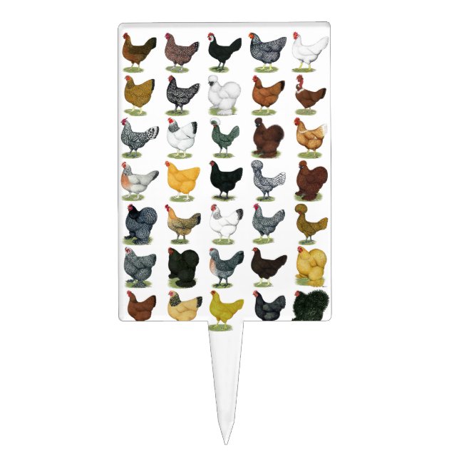 49 Chicken Hens Cake Topper (Front)