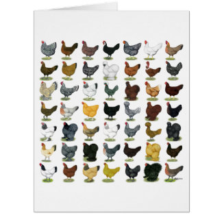 49 Chicken Hens Cards