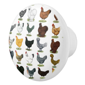 49 Chicken Hens Ceramic Knob