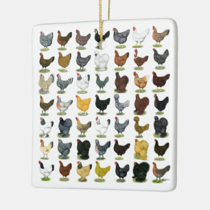 49 Chicken Hens Ceramic Ornament