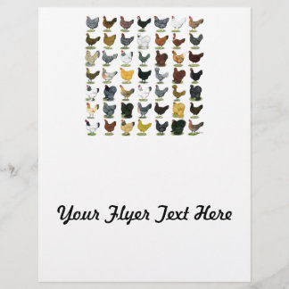 49 Chicken Hens Flyer