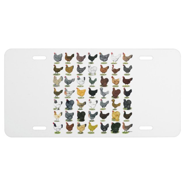 49 Chicken Hens License Plate (Front)