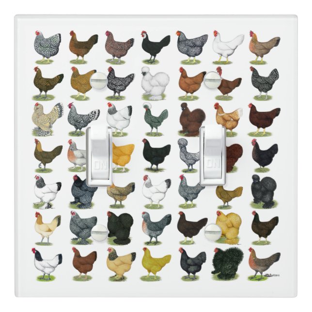 49 Chicken Hens Light Switch Cover (In Situ)