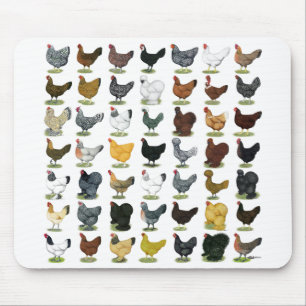 49 Chicken Hens Mouse Pad