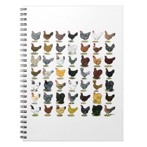 49 Chicken Hens Notebook