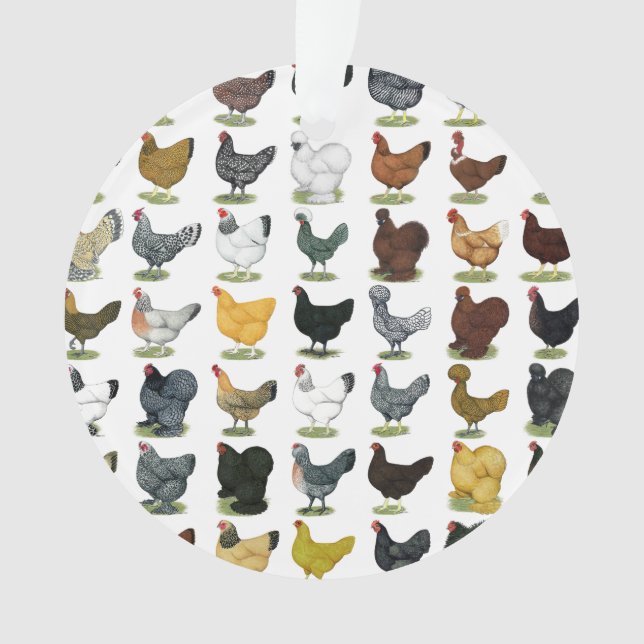 49 Chicken Hens Ornament (Front)