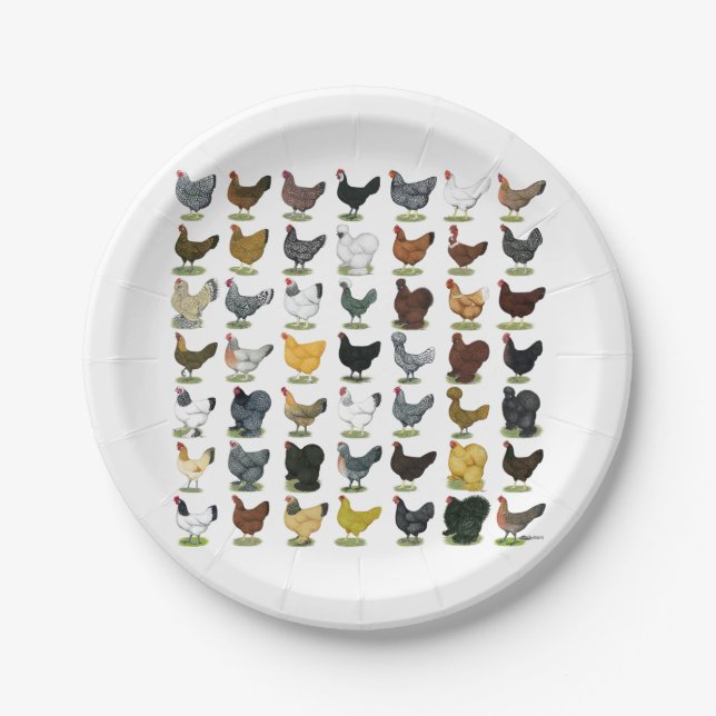 49 Chicken Hens Paper Plates (Front)