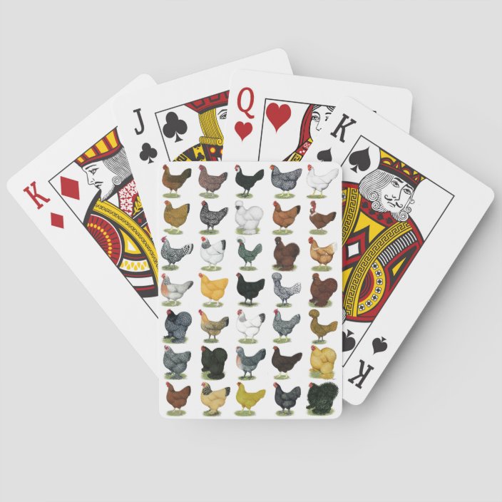 49 Chicken Hens Playing Cards