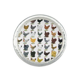 49 Chicken Hens Ring