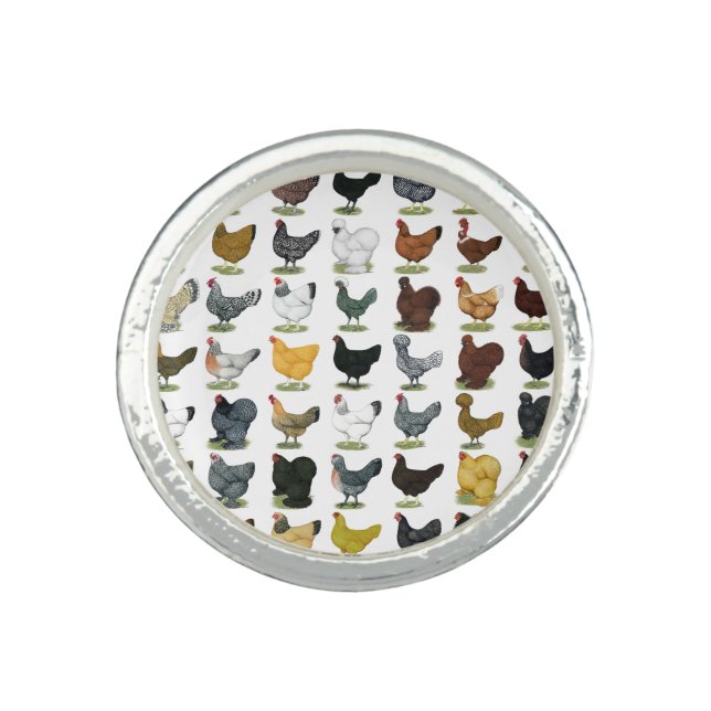 49 Chicken Hens Ring (Front)