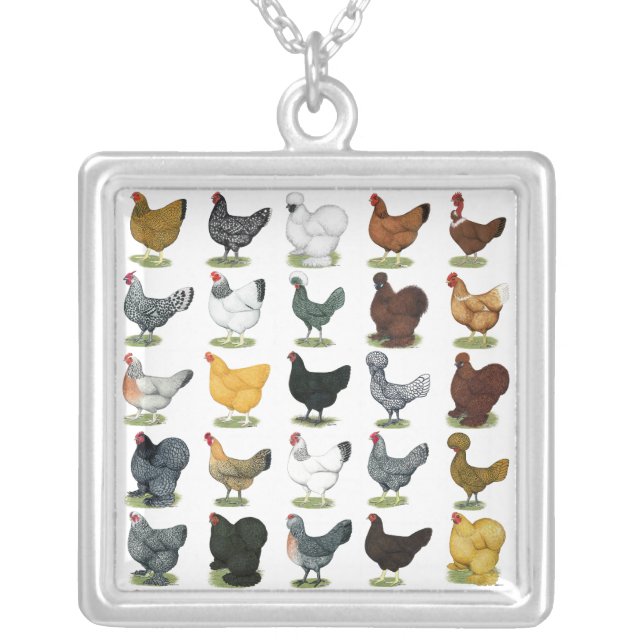 49 Chicken Hens Silver Plated Necklace (Front)