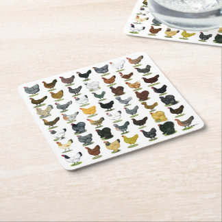 49 Chicken Hens Square Paper Coaster