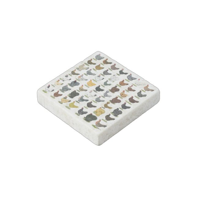 49 Chicken Hens Stone Magnet (Angled)