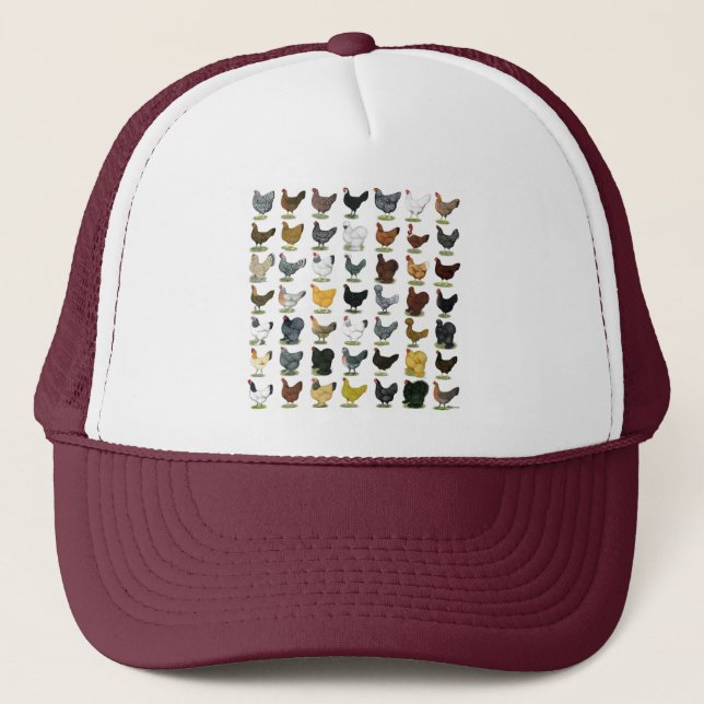 49 Chicken Hens Trucker Hat (Front)