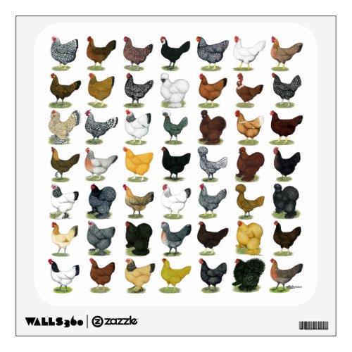 49 Chicken Hens Wall Sticker