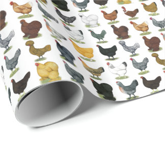 49 Chicken Hens Wrapping Paper