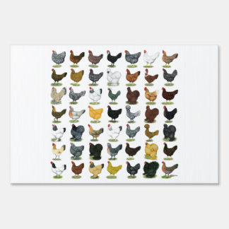 49 Chicken Hens Yard Sign
