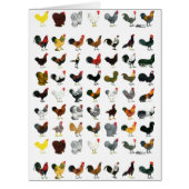 49 Roosters (Front)
