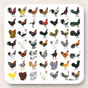 49 Roosters Beverage Coaster