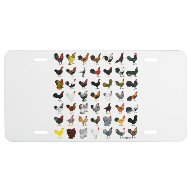 49 Roosters License Plate (Front)