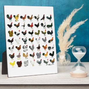 49 Roosters Plaque