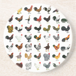 49 Roosters Sandstone Coaster