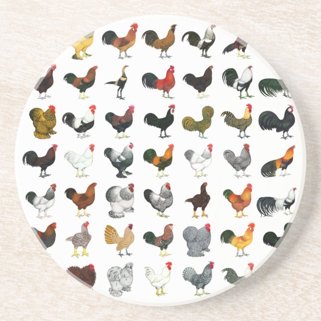 49 Roosters Sandstone Coaster (Front)