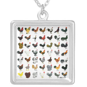 49 Roosters Silver Plated Necklace