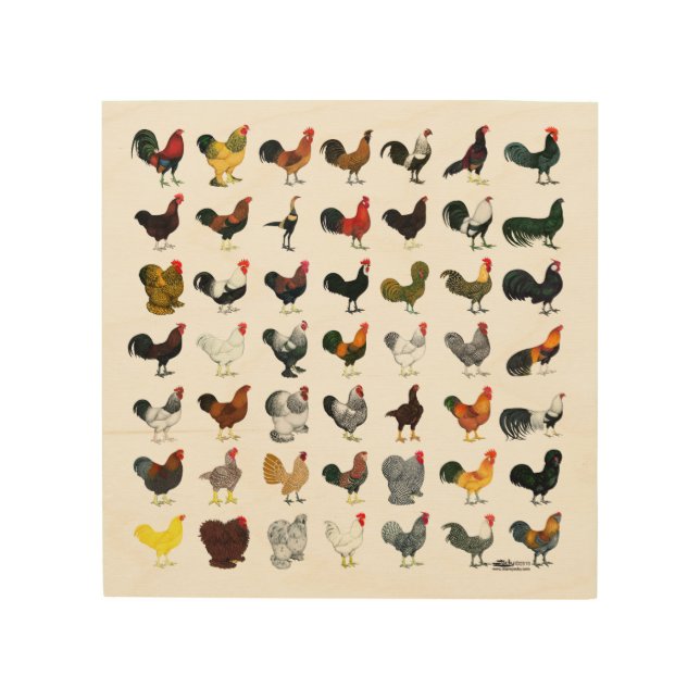 49 Roosters Wood Wall Art (Front)