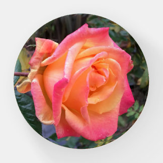 49er Rose Paperweight