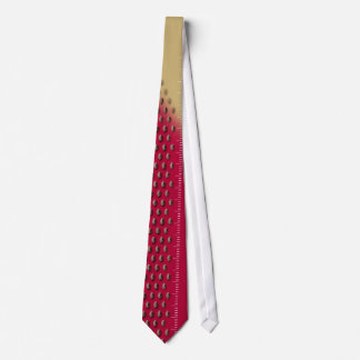 49ers (red/gold) Football Fan Tie