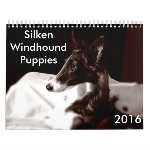 4 2016 Silken Windhound Puppies Calendar