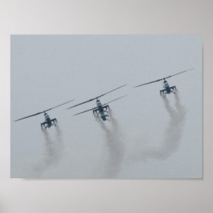 4 AH-1 Cobra Gunships in S.C. Poster