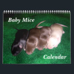 4 Baby Mice Growing Up Calendar<br><div class="desc">Watch these adorable babies grow up over the course of the year.  One glossy black mouse,  two chocolates,  and a siamese.

They are 6 days old in January's picture,  and 28 days old in December's picture.  Enjoy!</div>