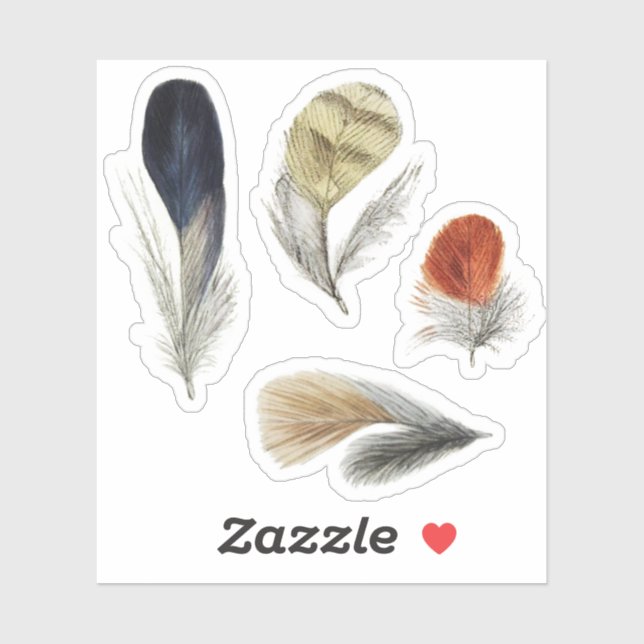 4 Bird Feathers Sticker (Sheet)