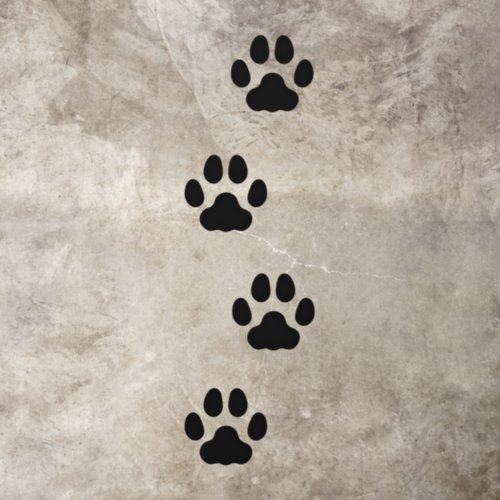 4 Black Large Cat Paw Prints Animal Tracks Floor Decals