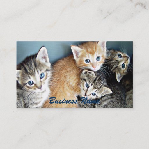 Customizable 4 blue eyed Kittens Business Card
