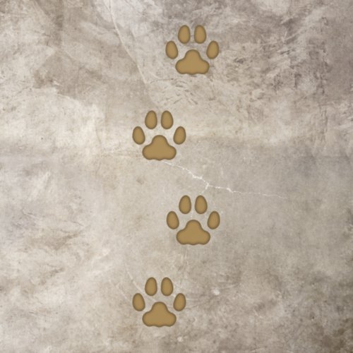 4 Brown Large Cat Paw Prints Animal Tracks Floor Decals