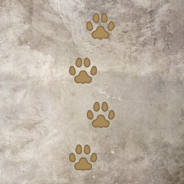 4 Brown Large Cat Paw Prints Animal Tracks Floor Decals (Insitu)