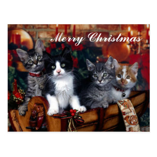 Vintage Christmas Cats Gifts on Zazzle