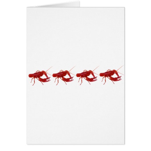 4 cooked crawfish cards (Front)