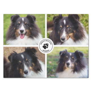 4 Custom Pet Photos Collage Template & Text Tissue Paper
