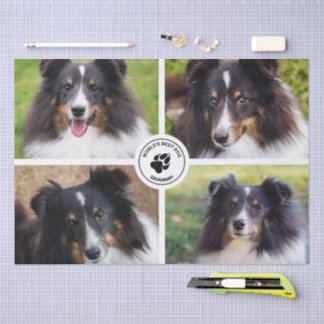 4 Custom Pet Photos Collage Template &amp; Text Tissue Paper