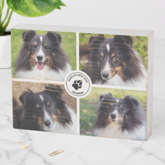 4 Custom Pet Photos Collage Template & Text Wooden Box Sign