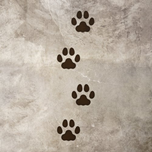 4 Dark Brown Large Cat Paw Prints Animal Tracks Floor Decals