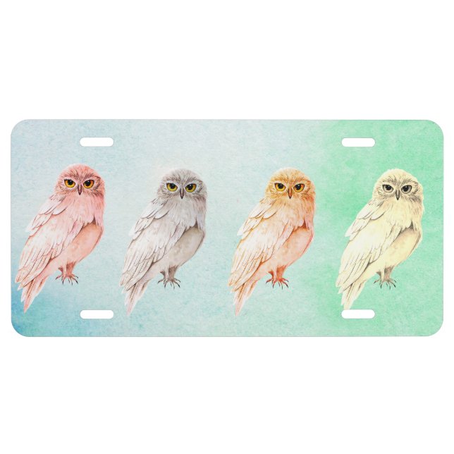 4 different owls license plate (Front)