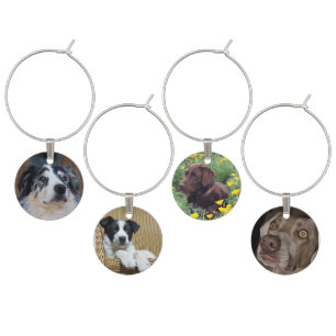 4 Dog Photographs Wine Charm